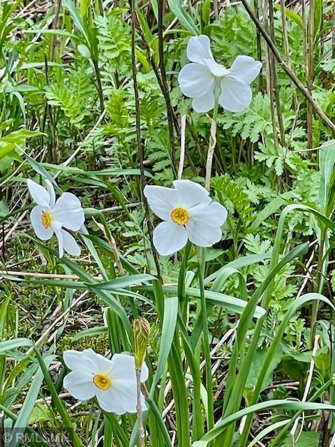 32598 Pioneer Avenue Aitkin MN 56431