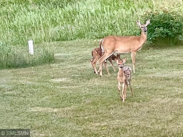 32598 Pioneer Avenue Aitkin MN 56431