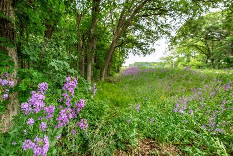 28647 State Highway 78 Battle Lake MN 56515