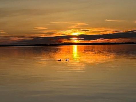 28647 State Highway 78 Battle Lake MN 56515