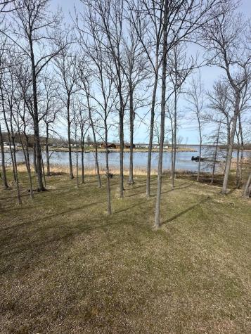 17413 E Pine Drive NW Angle Inlet MN 56711