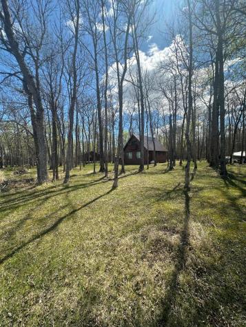 17413 E Pine Drive NW Angle Inlet MN 56711