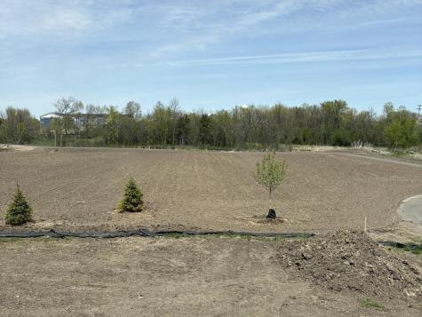907 Harvest Trail Buffalo MN 55313
