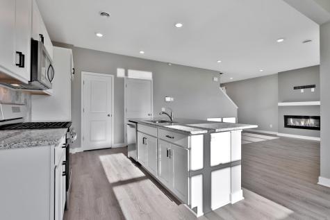 12703 Erskin St NE Blaine MN 55449