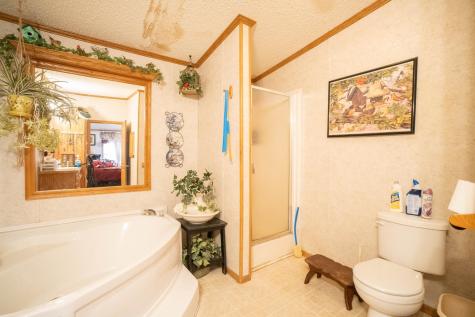 15229 County Road 13 Menahga MN 56464