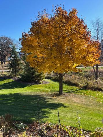 1430 25th Street Houlton WI 54082