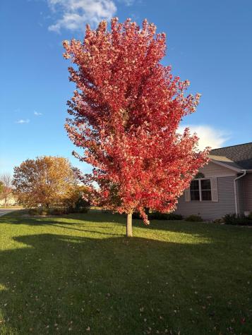 2317 Hillcrest Lane Hawley MN 56549