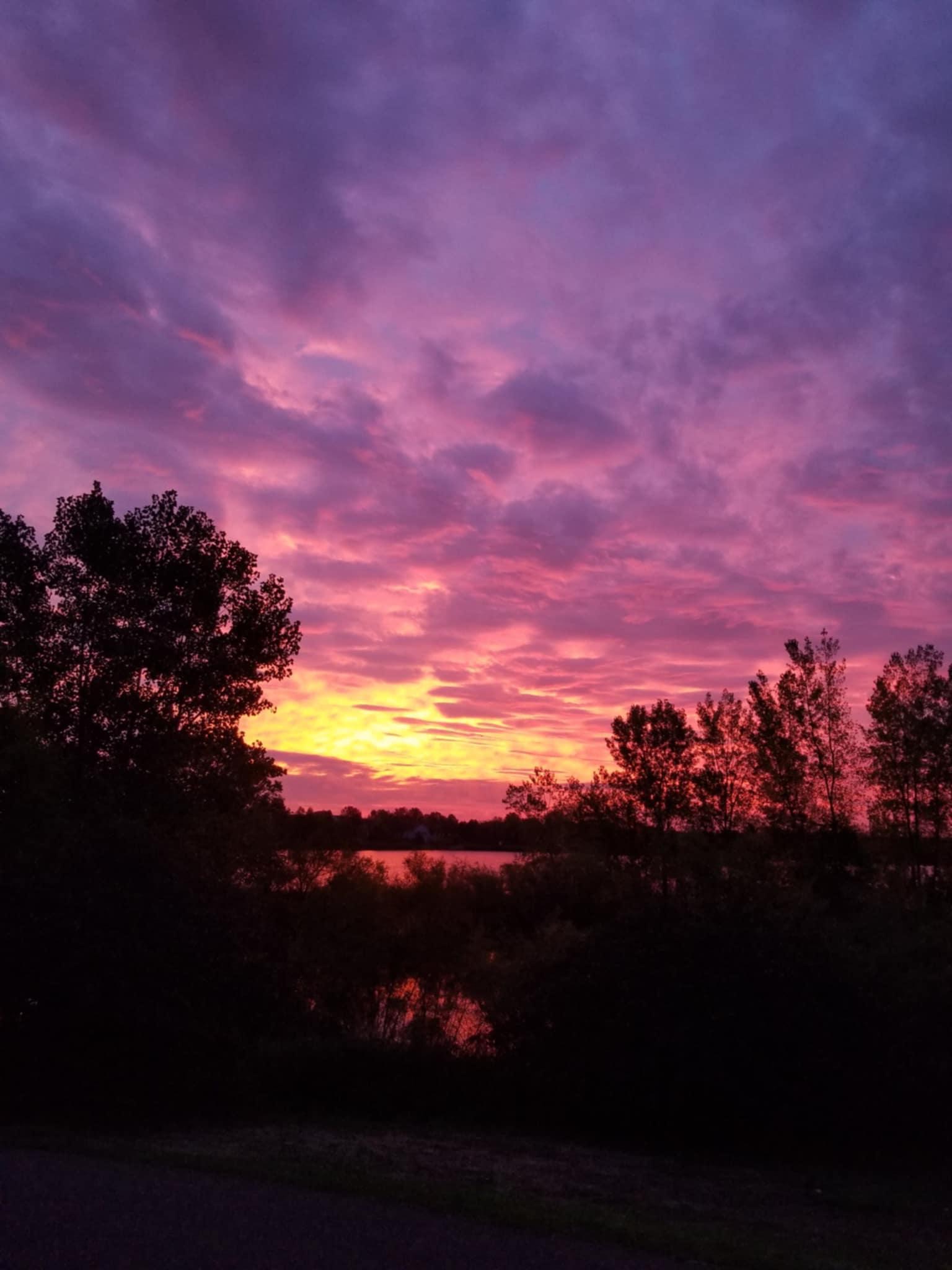 6595 Linwood Drive NE Albertville MN 55301