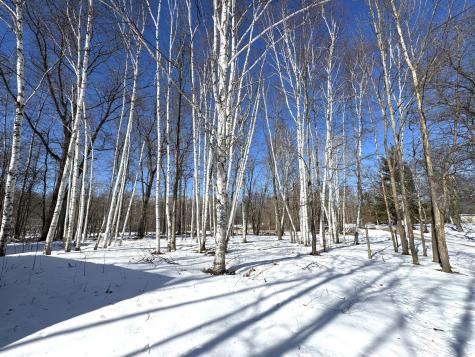 48894 386th Place Palisade MN 56469