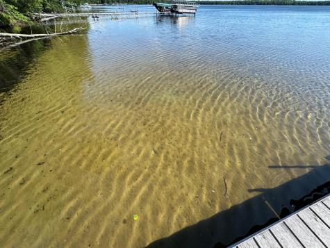 48894 386th Place Palisade MN 56469