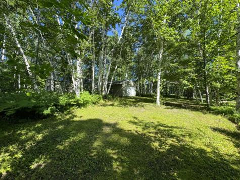 48894 386th Place Palisade MN 56469