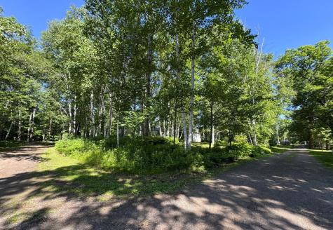 48894 386th Place Palisade MN 56469