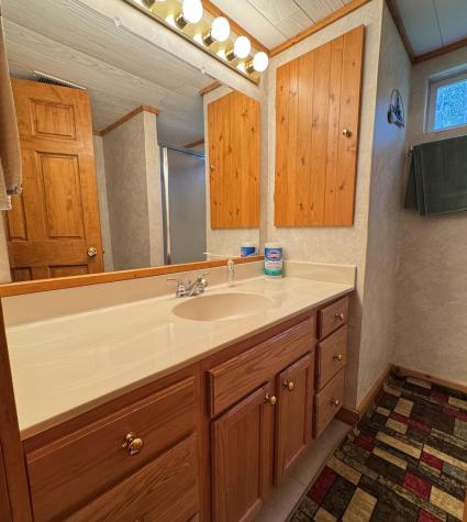 48894 386th Place Palisade MN 56469