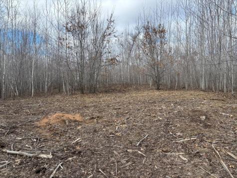 28791 Spotted Fawn Road Danbury WI 54830