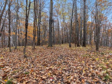 3918 44th Street SW Pine River MN 56474