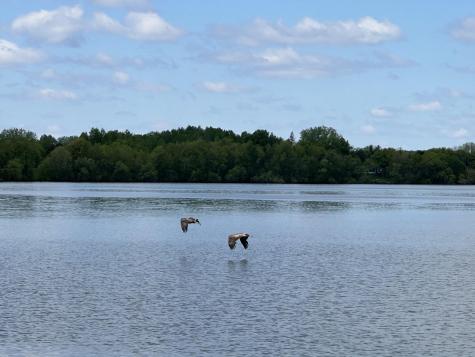 36999 Stanchfield Lake Road NW Dalbo MN 55017