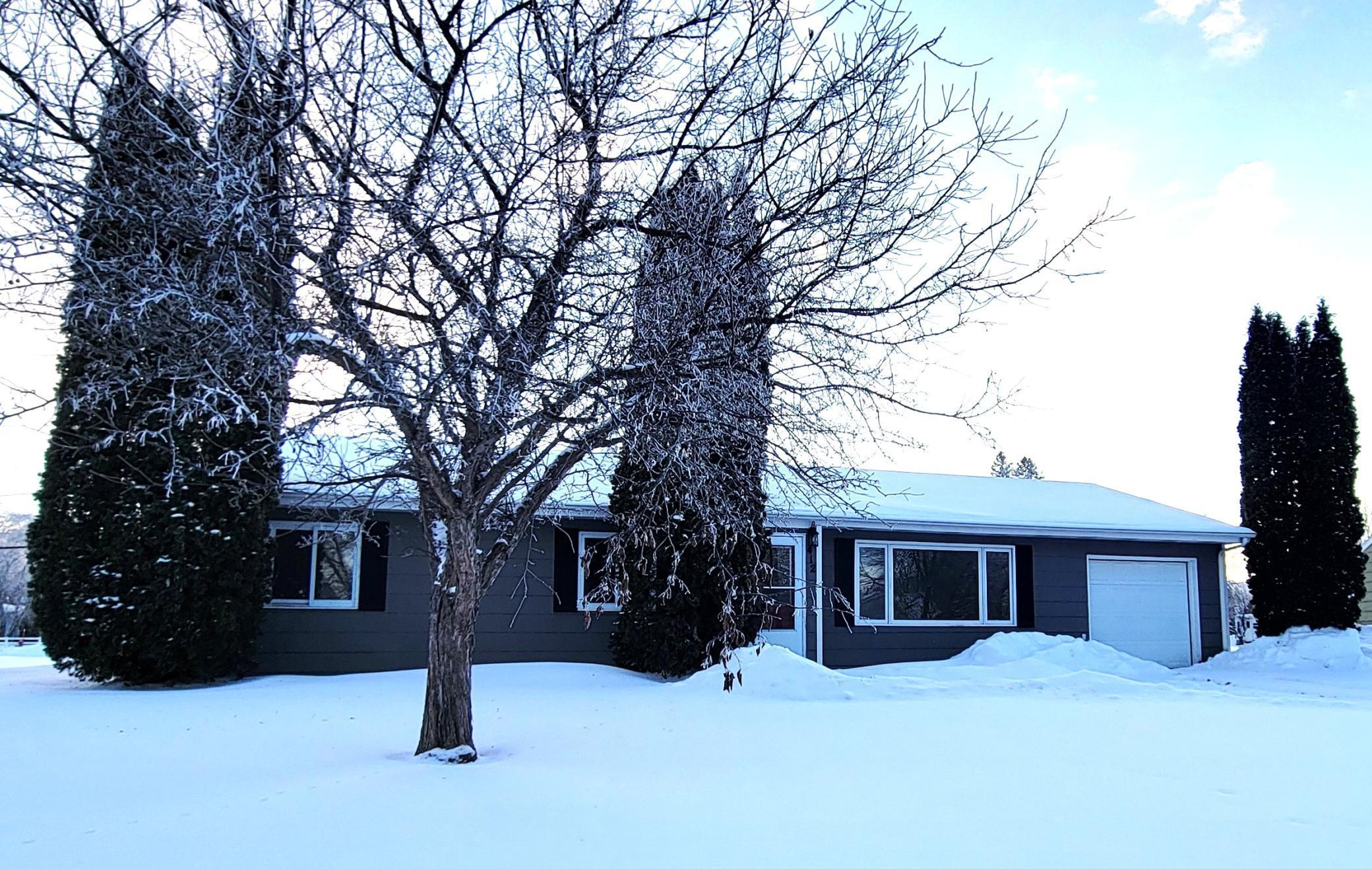 412 E Hamilton Avenue Baudette MN 56623