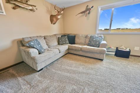 14403 65th Avenue NE Rice MN 56367