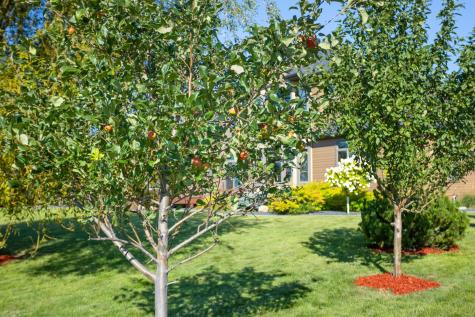4856 2nd Street SW Moorhead MN 56560