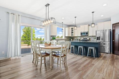 13576 Big Sandy Lake Drive Rogers MN 55374