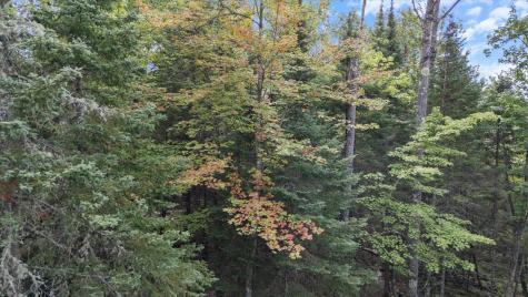 7885 Lake Fourteen Road Britt MN 55710