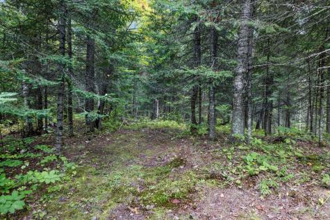 7885 Lake Fourteen Road Britt MN 55710
