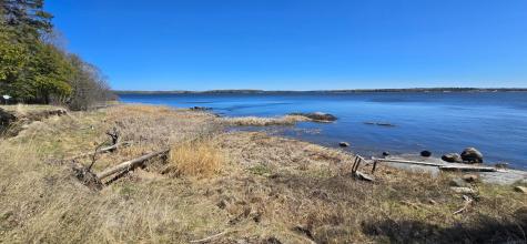 1266 Brush Island Angle Inlet MN 56711