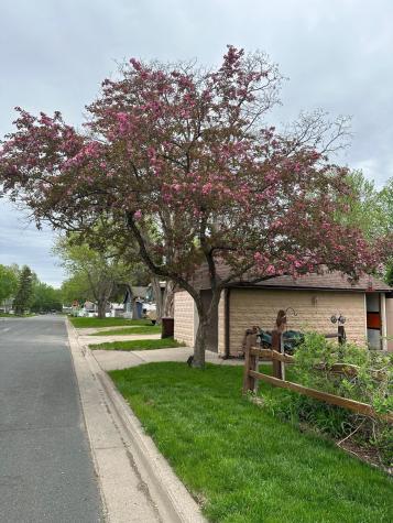 1101 3rd Street E Hastings MN 55033