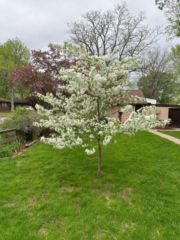 1101 3rd Street E Hastings MN 55033