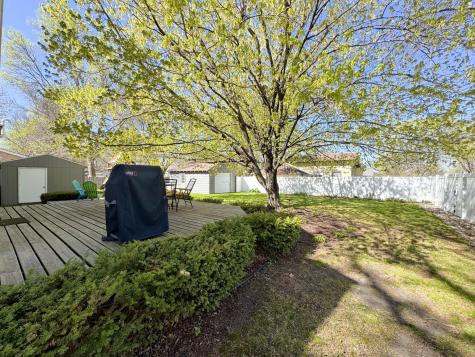 1019 N Vine Street Fergus Falls MN 56537