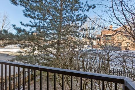 317 Groveland Avenue Minneapolis MN 55403