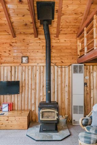 25393 Horn Drive Park Rapids MN 56470