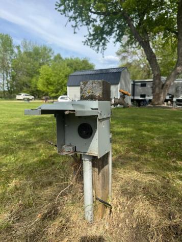 31510 Landing Drive Dent MN 56528