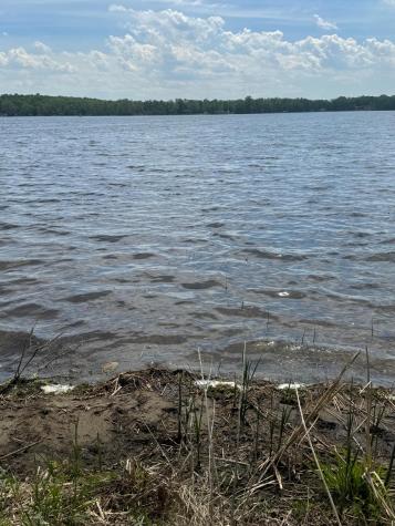 31510 Landing Drive Dent MN 56528
