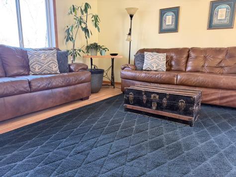 1320 Lori Avenue Detroit Lakes MN 56501