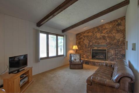 26686 Thomas Shores Drive Hillman MN 56338