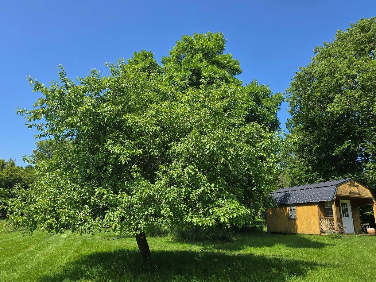 2047 60th Avenue Altona Twp MN 56164