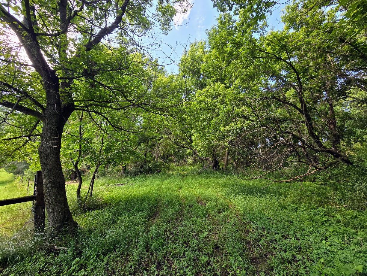 2047 60th Avenue Altona Twp MN 56164