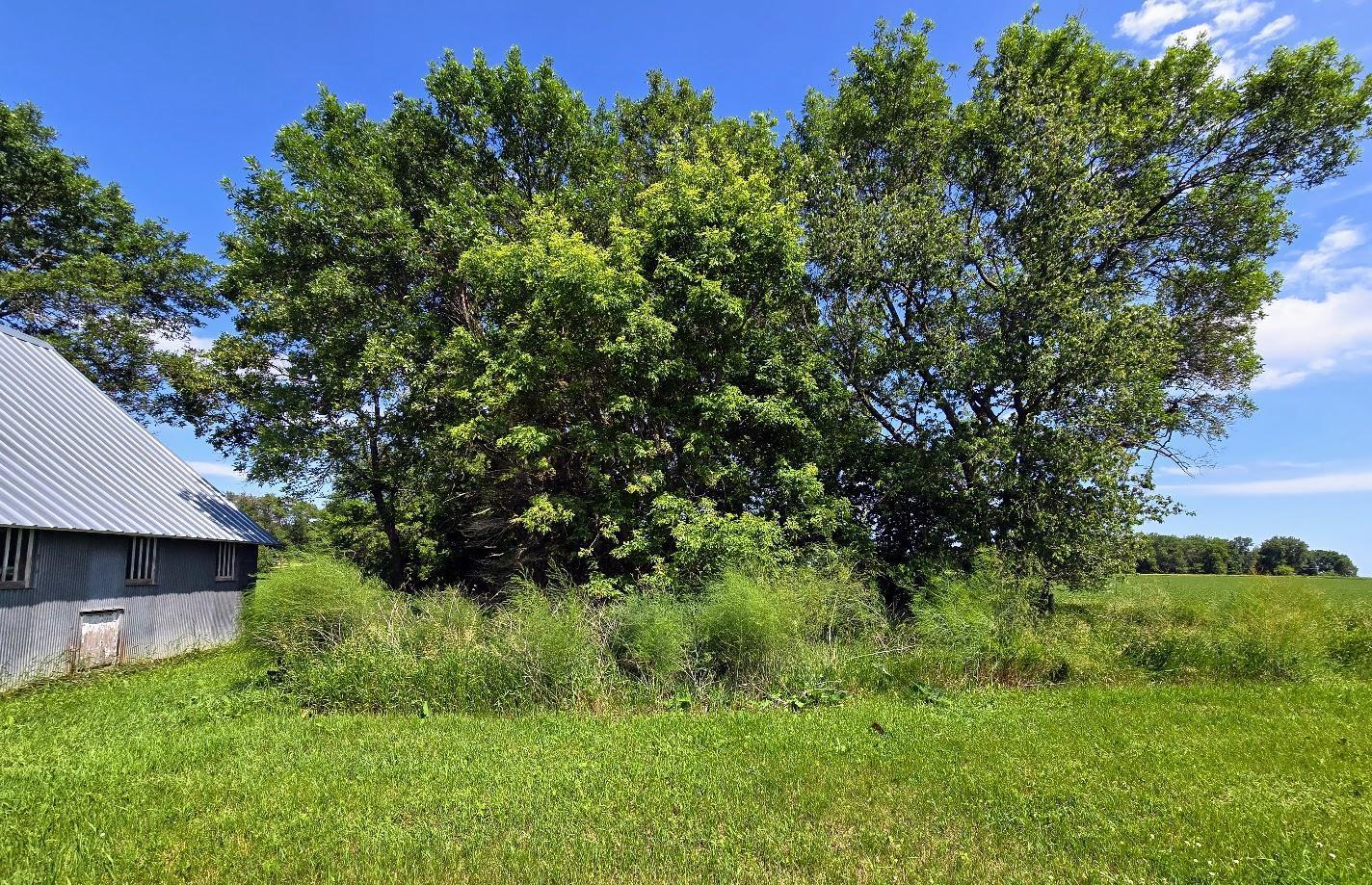 2047 60th Avenue Altona Twp MN 56164