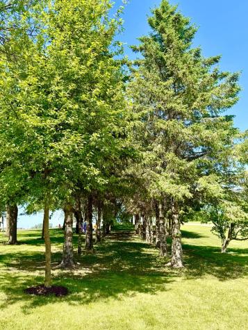 37285 161st Avenue Montgomery MN 56069