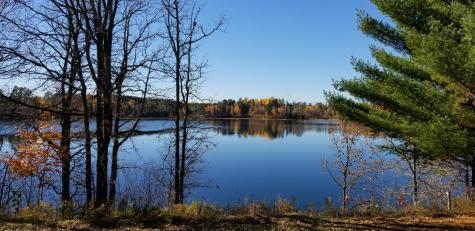 20551 County 12 Akeley MN 56433