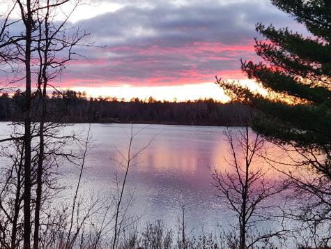 20551 County 12 Akeley MN 56433