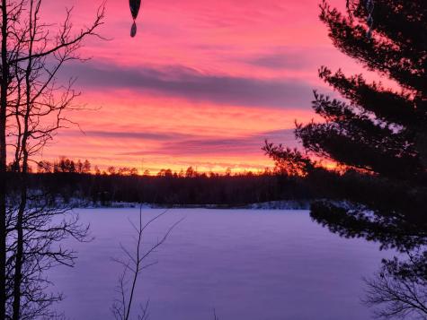 20551 County 12 Akeley MN 56433