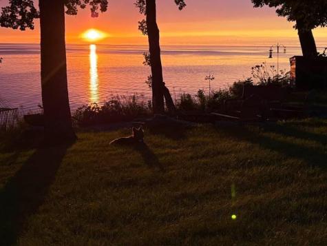 17495 328TH Avenue Isle MN 56342