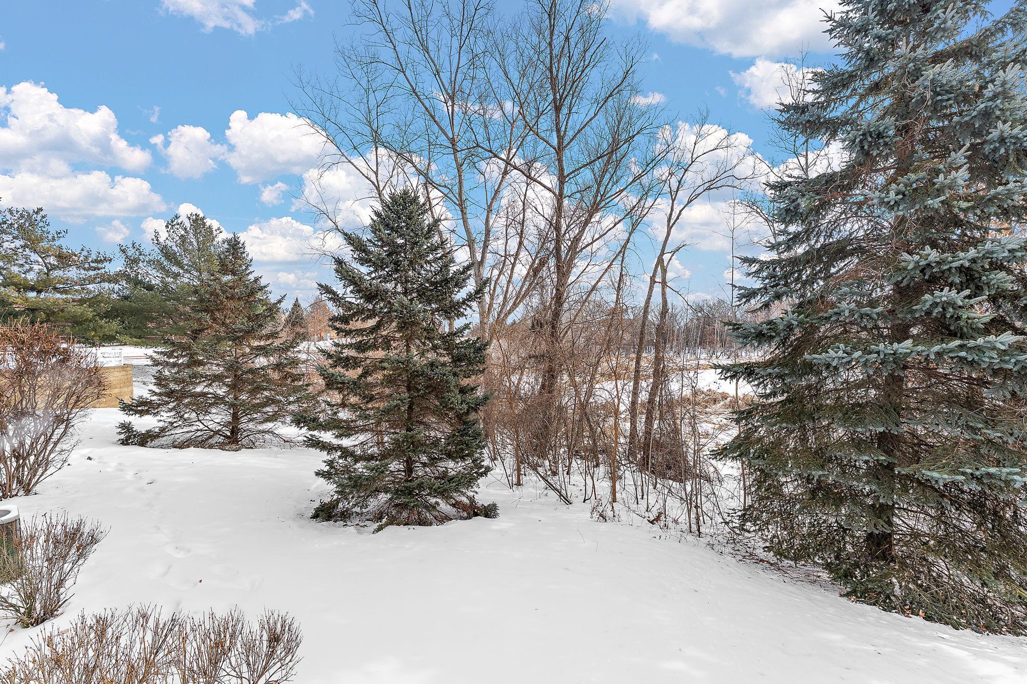 13510 Partridge Circle NW Andover MN 55304