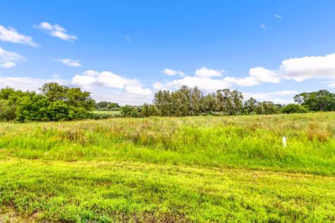 Tbd 130th Street Detroit Lakes MN 56501