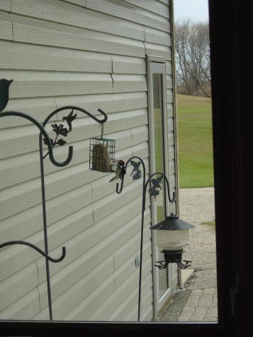 19800 Stephan Drive Minnewaska Twp MN 56381