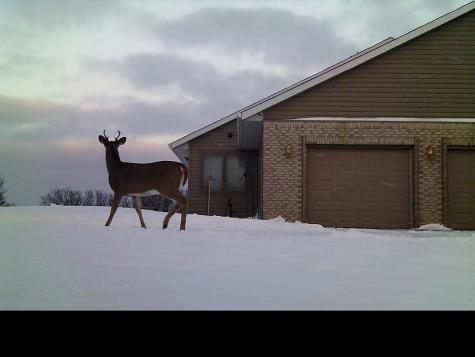19800 Stephan Drive Minnewaska Twp MN 56381