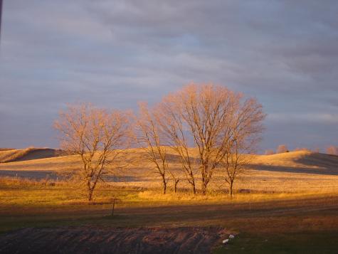 19800 Stephan Drive Minnewaska Twp MN 56381