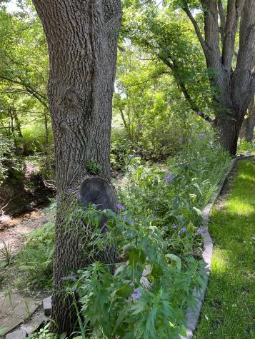 600 Plum Avenue Windom MN 56101